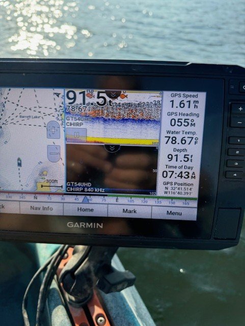 That's a school of fish