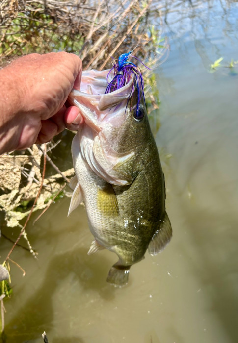 IMG_4051.jpeg