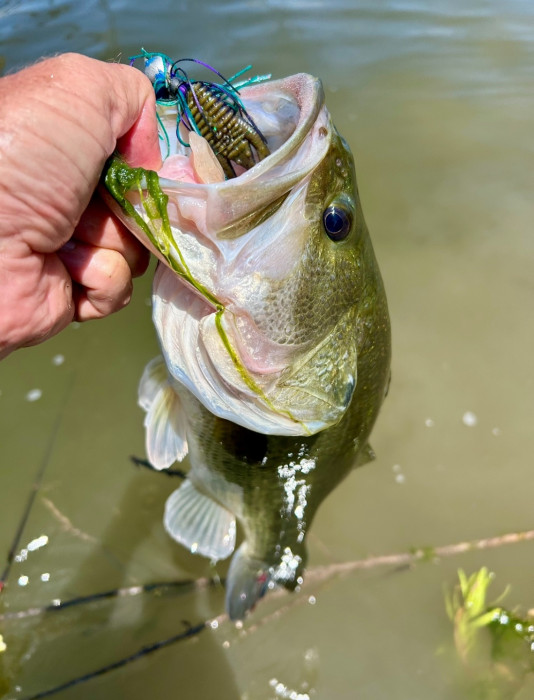 IMG_4043.jpeg