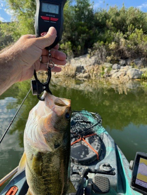 Big fish for the day. On 6 pound leader.