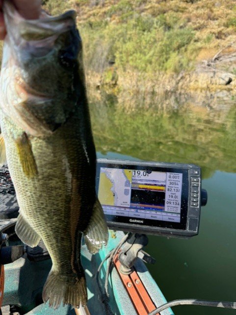 water is warm, 82F
