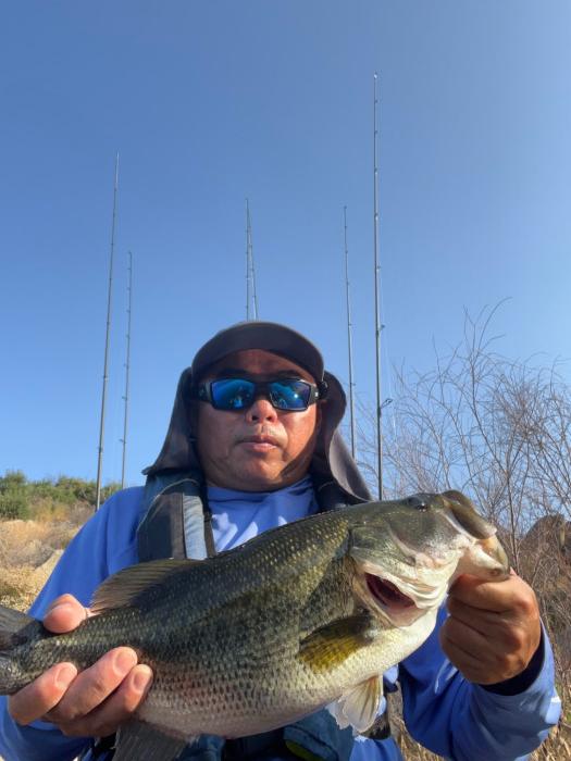 4.9 fatty