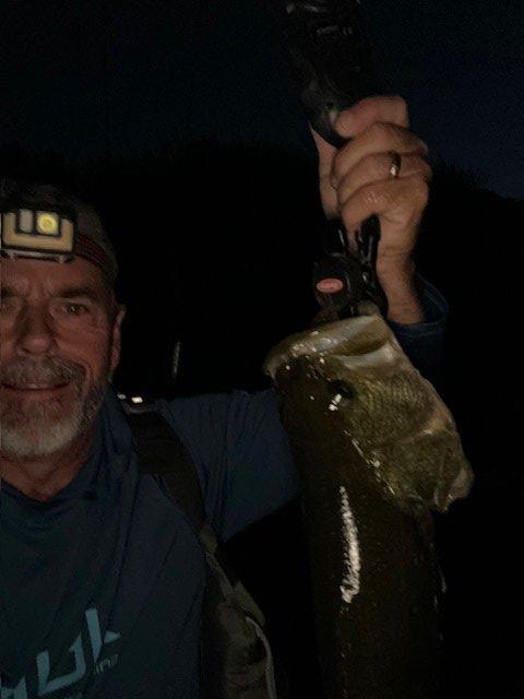 It looks bigger in the dark.