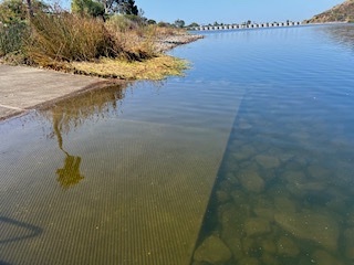IMG_3926.jpg