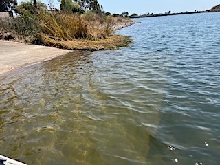 IMG_3960.jpg