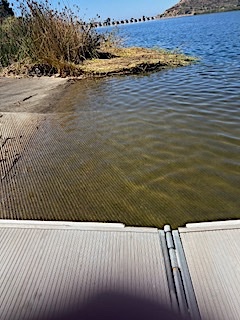 IMG_3999.jpg