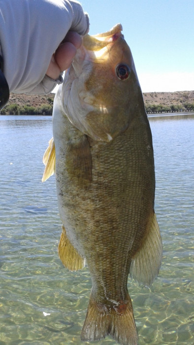 20150409_121021.jpg