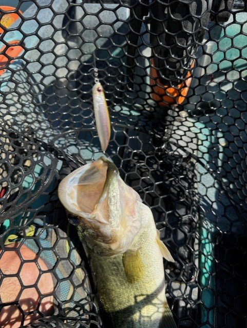 Bent minnow and a 2 pounder
