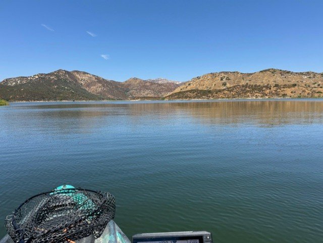 Water surface at 1200. Very little wind. Topwater all day!