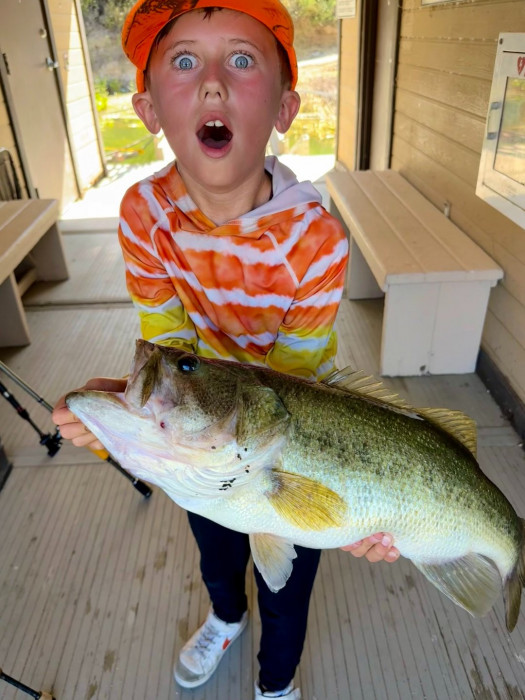 BIG-BARRETT-BASS-scaled.jpg