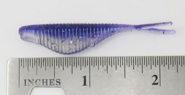 tiny fluke on ruler.JPG