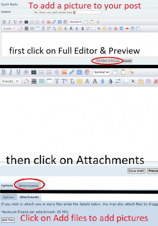 how_to_add_pictures.png