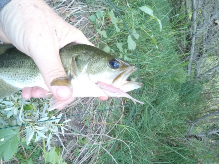 20240818_182200[1].jpg