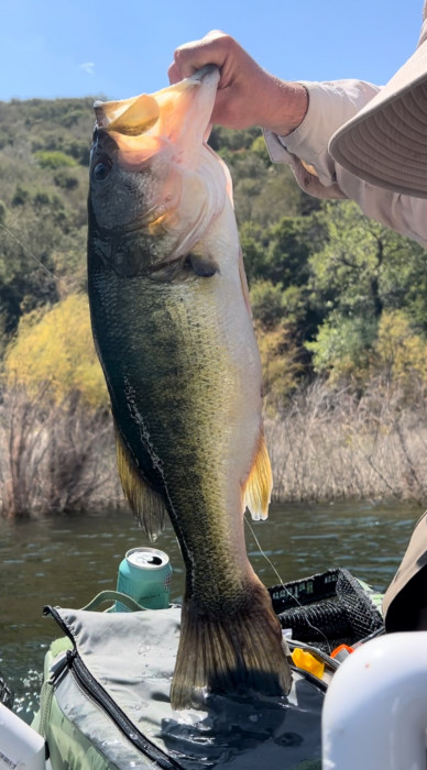 6.88lbs on a Green Pumpkin/Purple Jig with Black and Blue Berkley Fatty Craw Trailer