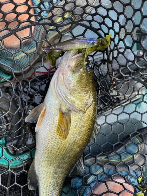 Good fish on the 110.