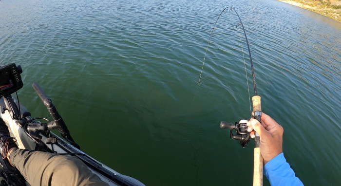 20230519_174210 Redear Catch Capture Bendo.JPG