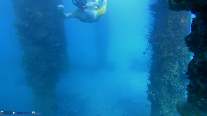 Scripps Pier underwater web cam.png