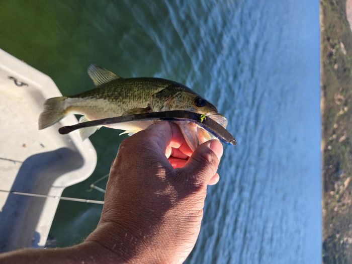 Little guy ate the 9in