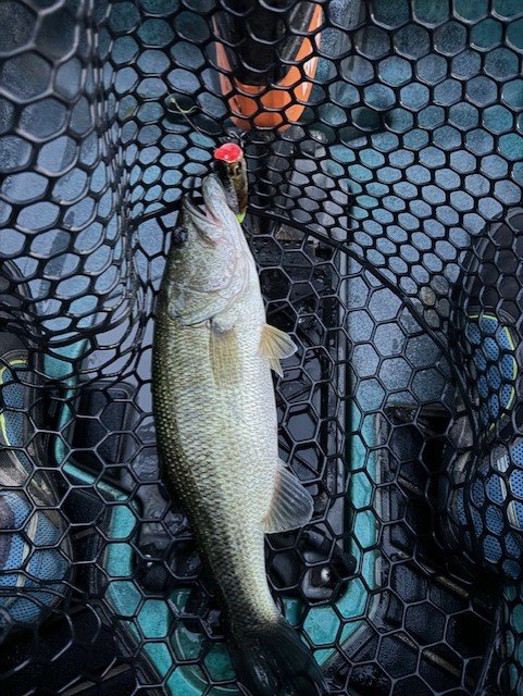 he liked the popper.