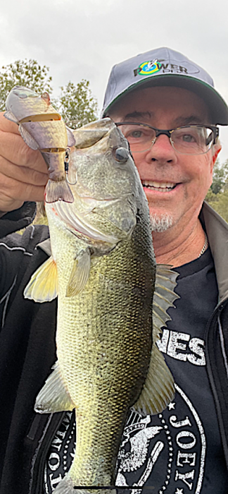 Bluegill swimbait.PNG
