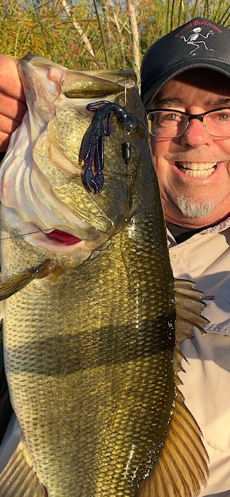 sd river 10-31 24 brushhog.PNG