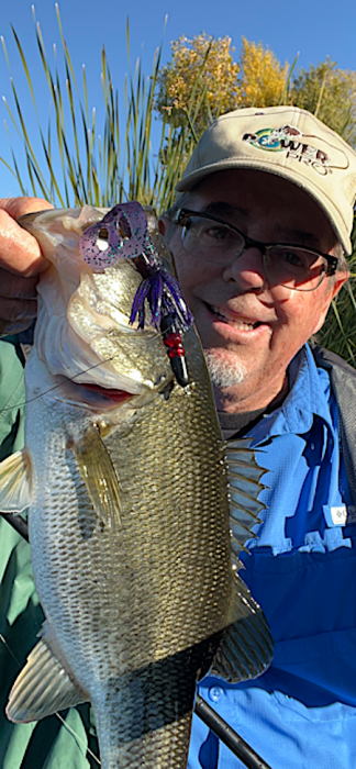 Tokyo rig nov 21.PNG