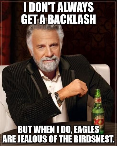 backlash.JPG